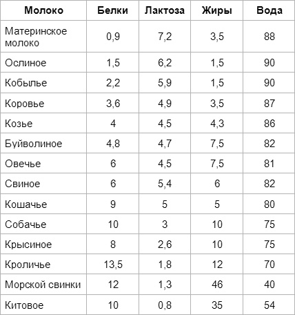 Дети вегетарианцы Дети вегетарианцы