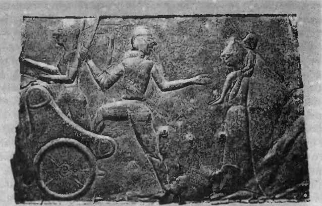 Нить Ариадны Нить Ариадны