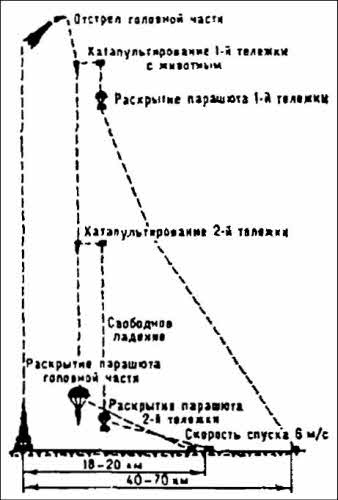 Полеты богов и людей Полеты богов и людей