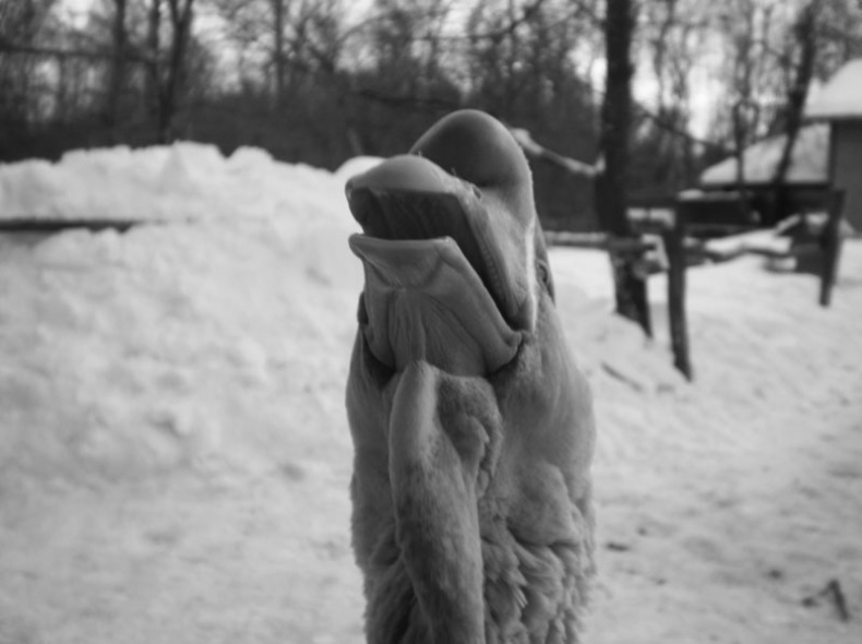 Ты, главное, пиши о любви Ты, главное, пиши о любви