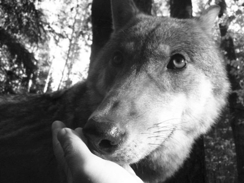 Ты, главное, пиши о любви Ты, главное, пиши о любви