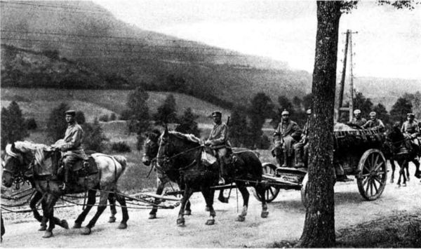 Крушение германского блицкрига в 1914 году Крушение германского блицкрига в 1914 году