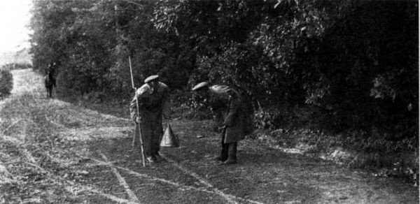 Крушение германского блицкрига в 1914 году Крушение германского блицкрига в 1914 году
