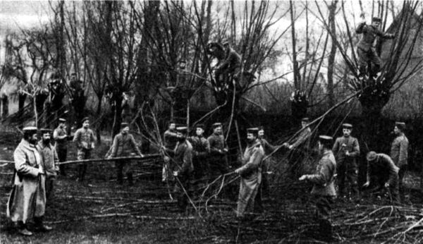 Крушение германского блицкрига в 1914 году Крушение германского блицкрига в 1914 году