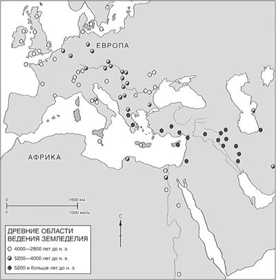 Мировая история Мировая история