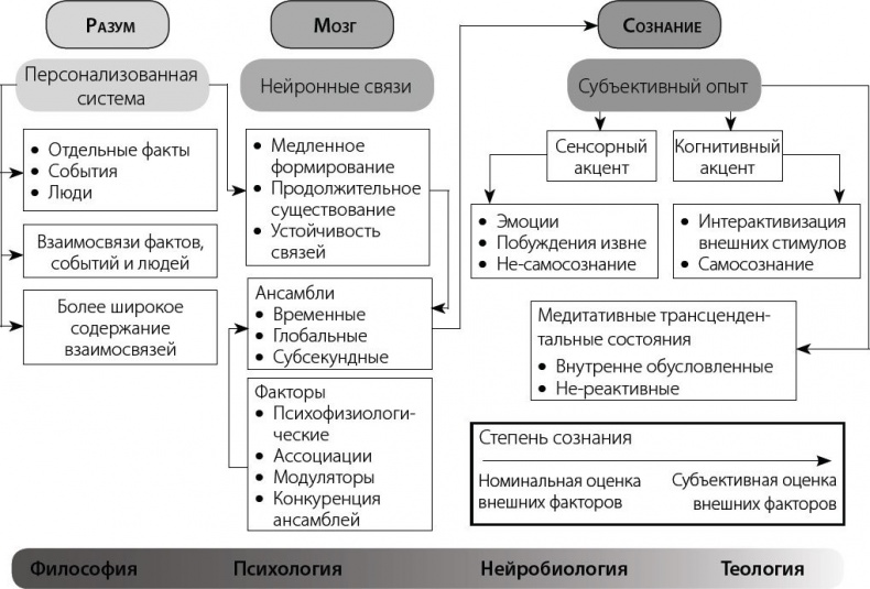 Один день из жизни мозга. Нейробиология сознания от рассвета до заката Один день из жизни мозга. Нейробиология сознания от рассвета до заката