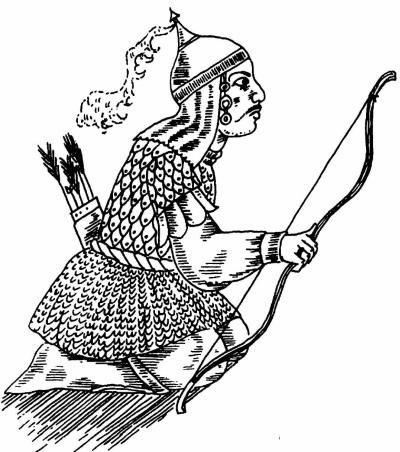 Половцы Половцы