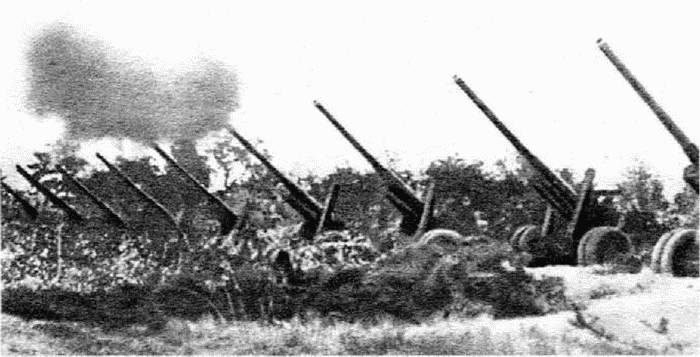 1945. Блицкриг Красной Армии 1945. Блицкриг Красной Армии