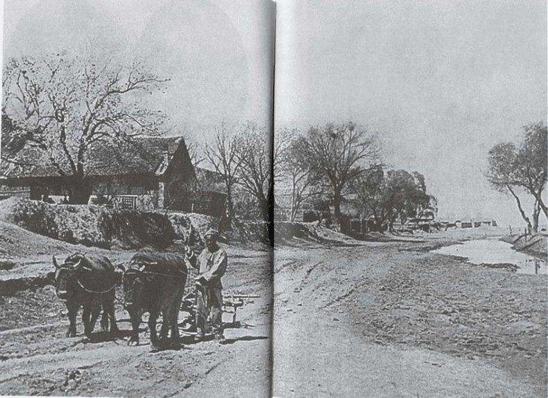 Россия и Китай. 300 лет на грани войны Россия и Китай. 300 лет на грани войны