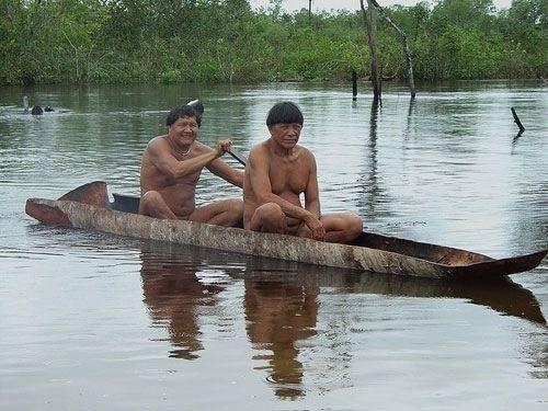 Запросы плоти. Еда и секс в жизни людей Запросы плоти. Еда и секс в жизни людей