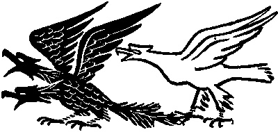 Пестрые истории