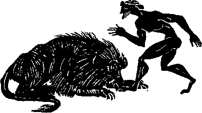 Пестрые истории Пестрые истории