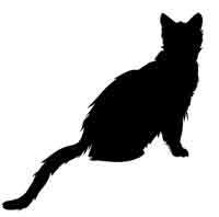 Обещание ведьмы Обещание ведьмы