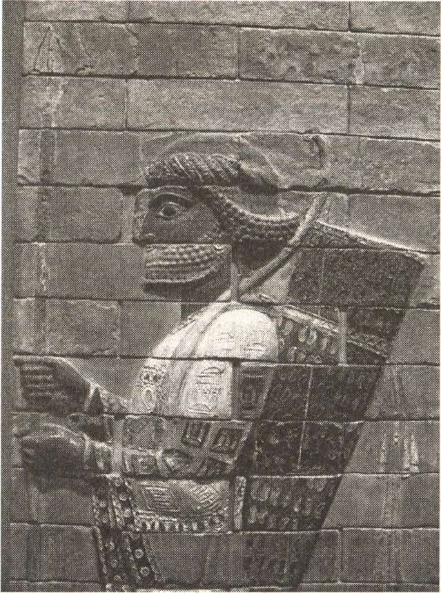 Расовые мифы нацизма. Врага надо знать! Расовые мифы нацизма. Врага надо знать!