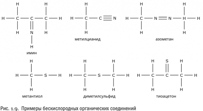 От атомов к древу. Введение в современную науку о жизни От атомов к древу. Введение в современную науку о жизни