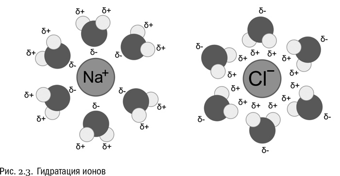От атомов к древу. Введение в современную науку о жизни От атомов к древу. Введение в современную науку о жизни