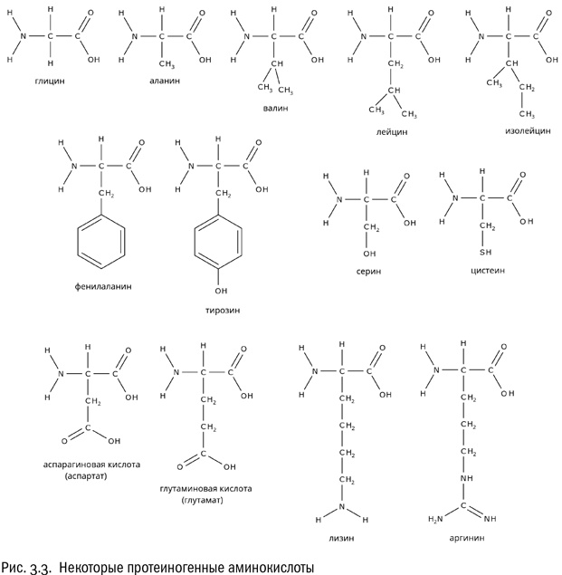 От атомов к древу. Введение в современную науку о жизни От атомов к древу. Введение в современную науку о жизни