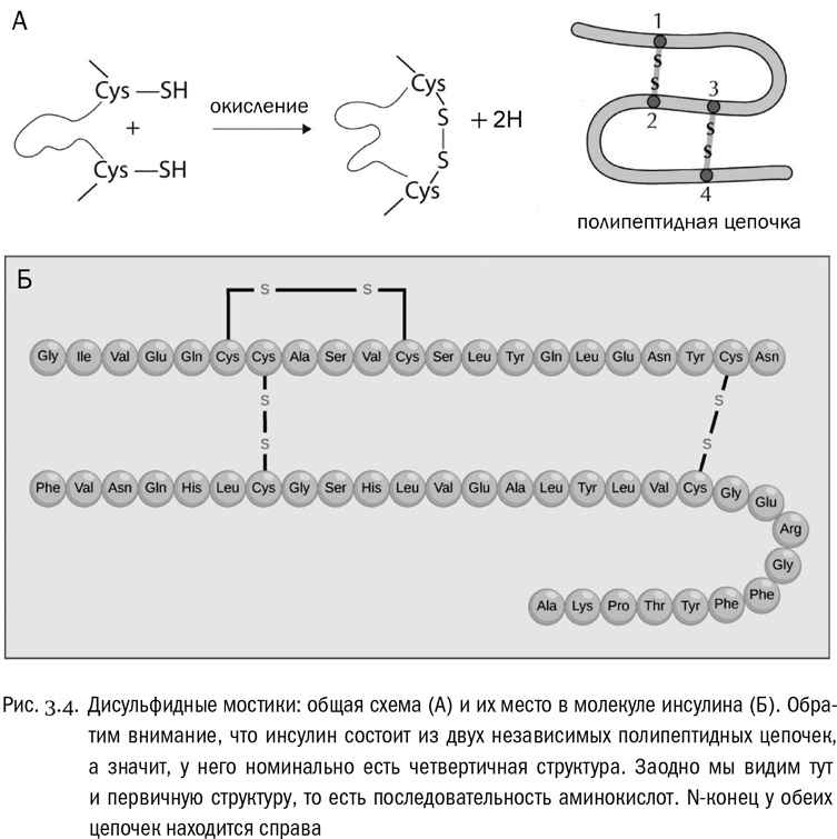 От атомов к древу. Введение в современную науку о жизни От атомов к древу. Введение в современную науку о жизни