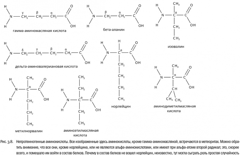 От атомов к древу. Введение в современную науку о жизни От атомов к древу. Введение в современную науку о жизни