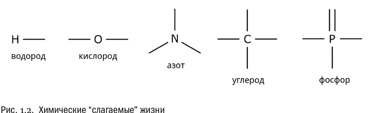 От атомов к древу. Введение в современную науку о жизни От атомов к древу. Введение в современную науку о жизни