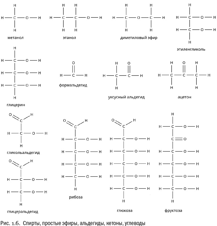 От атомов к древу. Введение в современную науку о жизни От атомов к древу. Введение в современную науку о жизни