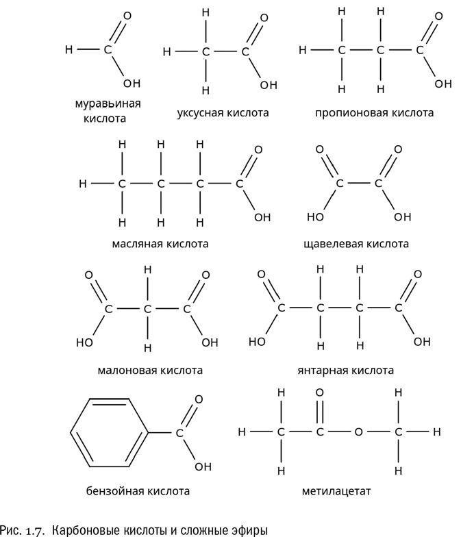 От атомов к древу. Введение в современную науку о жизни От атомов к древу. Введение в современную науку о жизни