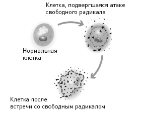Кето-диета. Революционная система питания, которая поможет похудеть и научит ваш организм превращать жиры в энергию Кето-диета. Революционная система питания, которая поможет похудеть и научит ваш организм превращать жиры в энергию