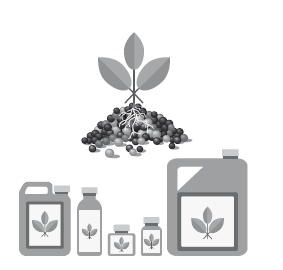 Кето-диета. Революционная система питания, которая поможет похудеть и научит ваш организм превращать жиры в энергию