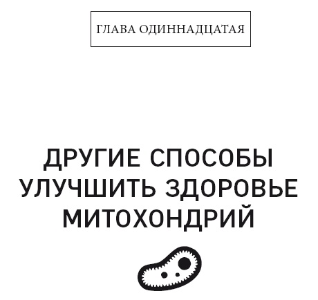 Кето-диета. Революционная система питания, которая поможет похудеть и научит ваш организм превращать жиры в энергию Кето-диета. Революционная система питания, которая поможет похудеть и научит ваш организм превращать жиры в энергию
