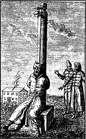 Тайный сыск Петра I Тайный сыск Петра I