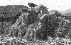 Стальной кулак Сталина. История советского танка 1943-1955 Стальной кулак Сталина. История советского танка 1943-1955