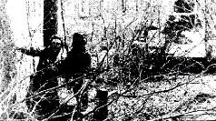 Броневой щит Сталина. История советского танка 1937-1943 Броневой щит Сталина. История советского танка 1937-1943