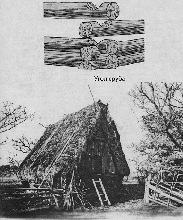 Викинги – люди саги. Жизнь и нравы Викинги – люди саги. Жизнь и нравы