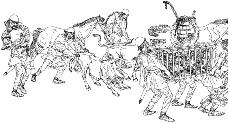 Викинги – люди саги. Жизнь и нравы Викинги – люди саги. Жизнь и нравы