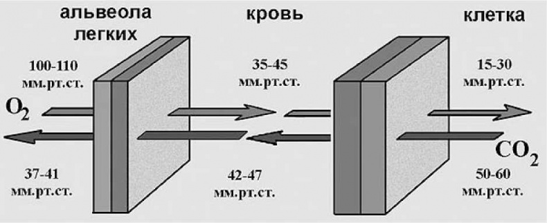Древние боги. Кто они? Древние боги. Кто они?