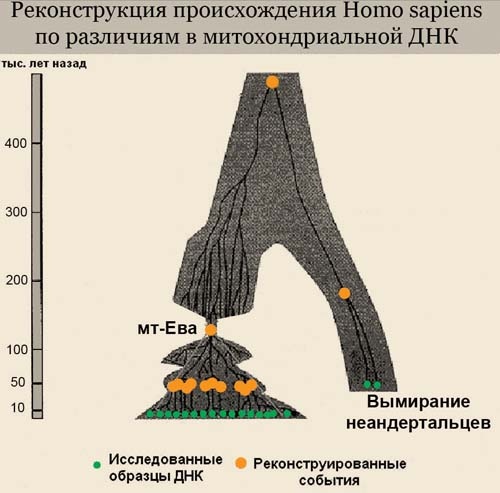 Обитаемый остров Земля Обитаемый остров Земля