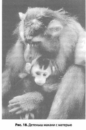 Психология стресса Психология стресса