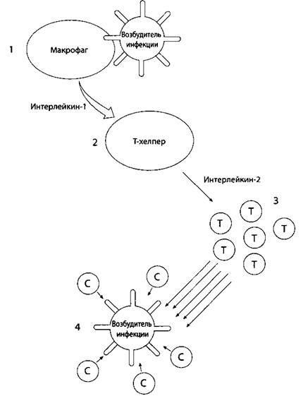 Психология стресса Психология стресса