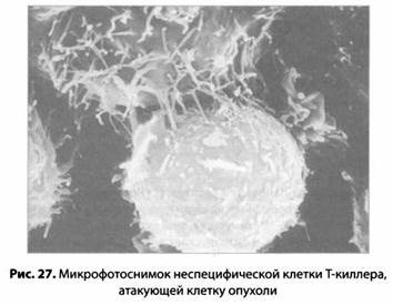 Психология стресса Психология стресса
