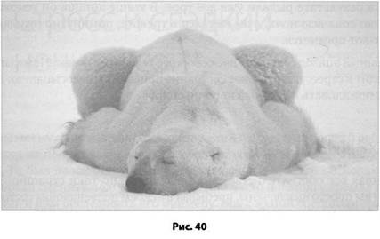 Психология стресса