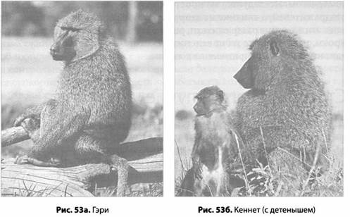 Психология стресса Психология стресса