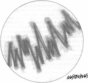 Психология стресса Психология стресса