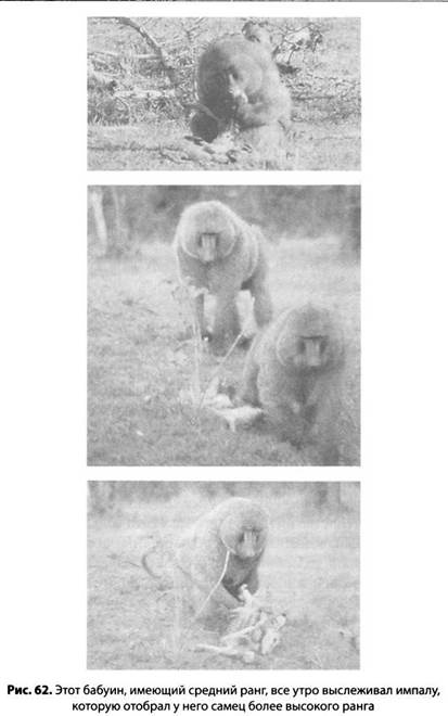 Психология стресса Психология стресса