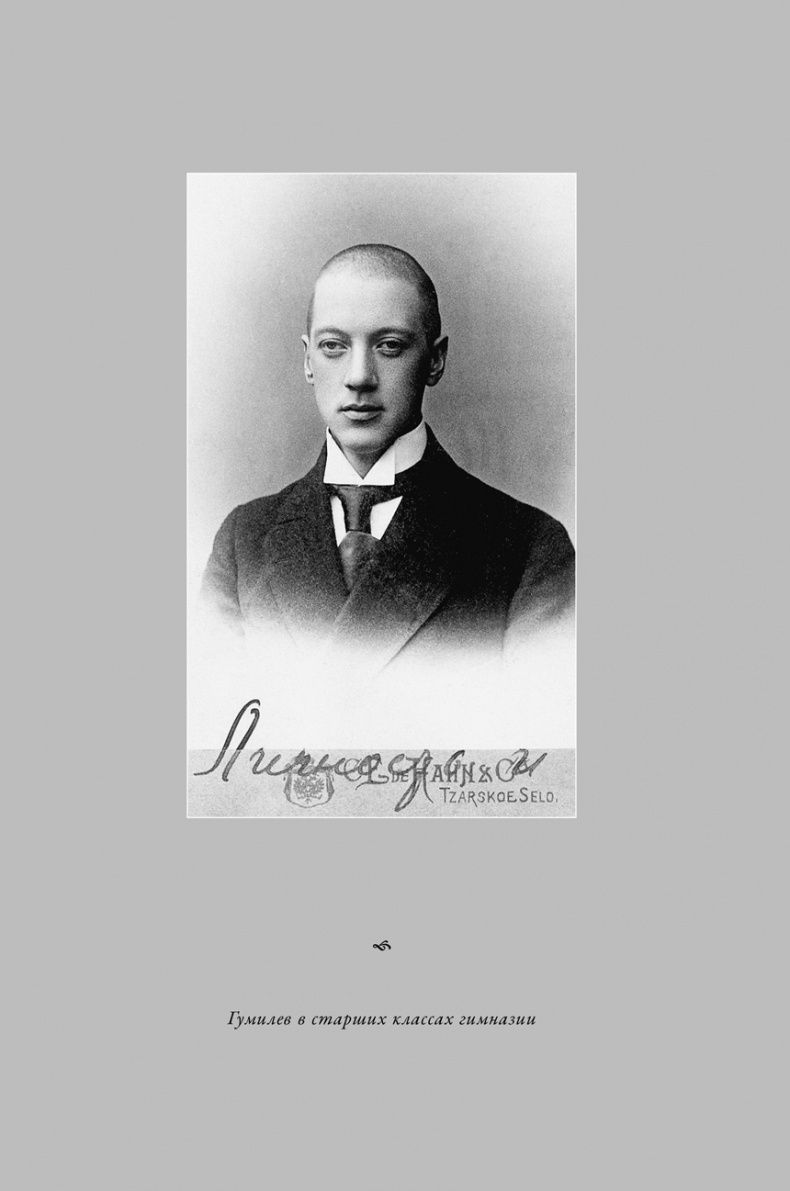Воин и дева. Мир Николая Гумилева и Анны Ахматовой Воин и дева. Мир Николая Гумилева и Анны Ахматовой