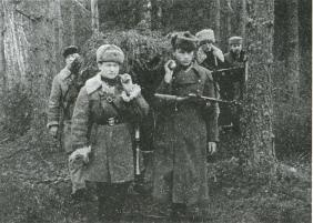Лесные солдаты. Партизанская война на Северо-Западе СССР. 1941-1944 Лесные солдаты. Партизанская война на Северо-Западе СССР. 1941-1944