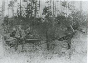 Лесные солдаты. Партизанская война на Северо-Западе СССР. 1941-1944 Лесные солдаты. Партизанская война на Северо-Западе СССР. 1941-1944