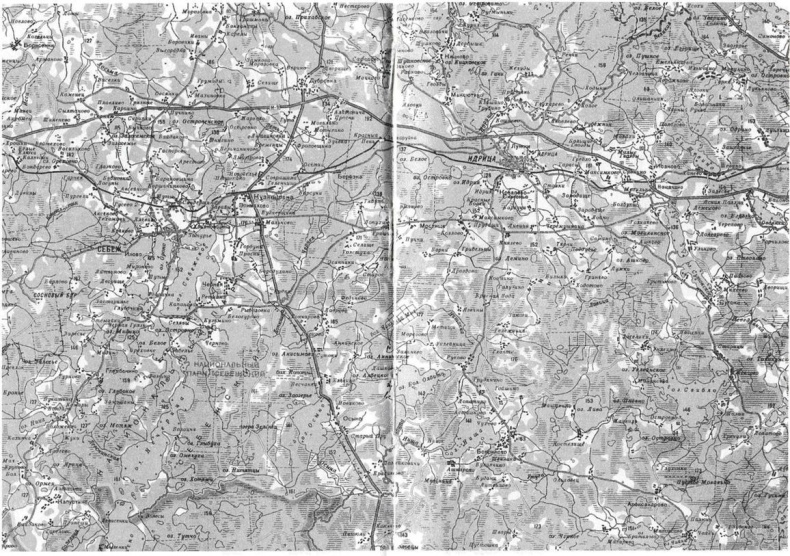 Лесные солдаты. Партизанская война на Северо-Западе СССР. 1941-1944 Лесные солдаты. Партизанская война на Северо-Западе СССР. 1941-1944