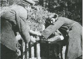 Лесные солдаты. Партизанская война на Северо-Западе СССР. 1941-1944 Лесные солдаты. Партизанская война на Северо-Западе СССР. 1941-1944