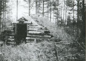 Лесные солдаты. Партизанская война на Северо-Западе СССР. 1941-1944 Лесные солдаты. Партизанская война на Северо-Западе СССР. 1941-1944