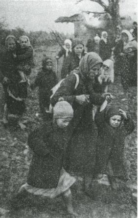 Лесные солдаты. Партизанская война на Северо-Западе СССР. 1941-1944 Лесные солдаты. Партизанская война на Северо-Западе СССР. 1941-1944